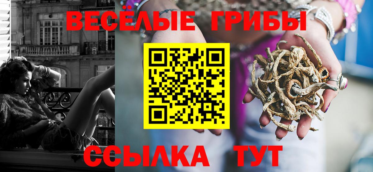 Галлюциногенные грибы ЛСД Воскресенск